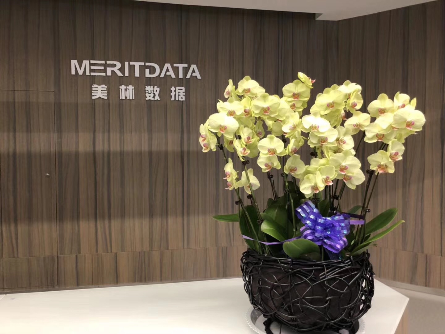 美林?jǐn)?shù)據(jù)寫入西安市“十三五”工業(yè)發(fā)展規(guī)劃，肩負(fù)助推區(qū)域大數(shù)據(jù)產(chǎn)業(yè)發(fā)展重任